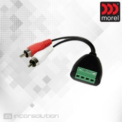 Morel MPS-HL Speaker to RCA Adapter