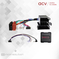 Steering Wheel Interface Ford Ka