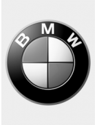 Luces Ambiente BMW